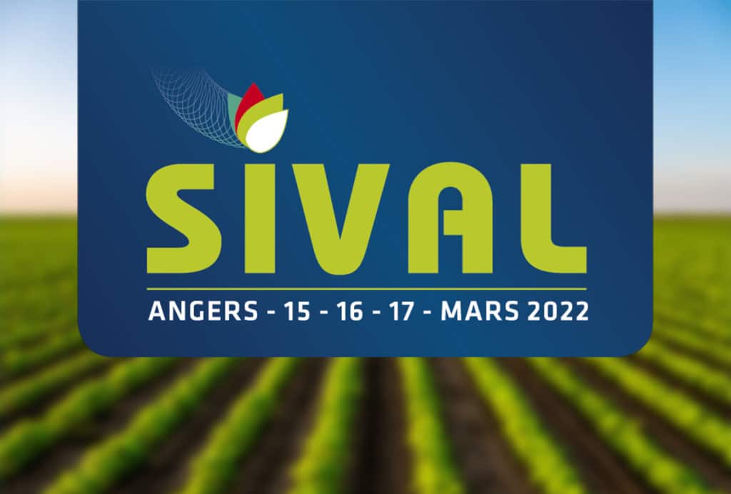 sival-2022